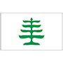 Historic Pine Tree Outdoor Nylon Flags